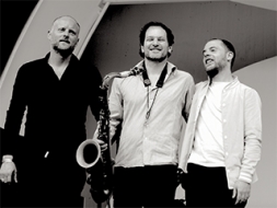 Džeza trio koncerts Madonas muzejā