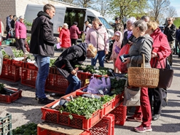 Aicina pieteikties Pavasara stādu gadatirgum