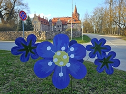 Pavasara vēstneši — zilās vizbulītes