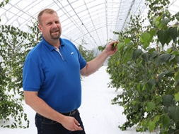 Pamatprodukcija —  meža stādi un meža sēklas