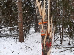Klimata pārmaiņas ir neizbēgamas