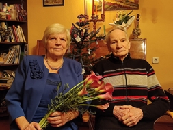 Svin dimanta kāzu jubileju