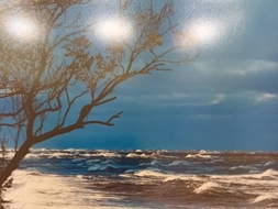 Fotogrāfijās iemūžinātie mirkļi