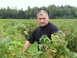 Pamazām krāj praktisko pieredzi upeņu audzēšanā
