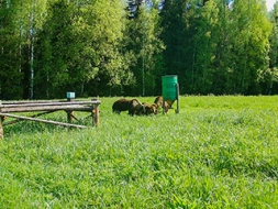 Medību uzraudzība un dzīvnieku populāciju pārvaldība