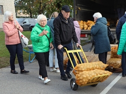 “Kartupeļu svētkos” pērk kartupeļus, ķiplokus, puķes…