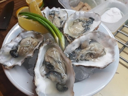 Jūras „mošķu” karaliene