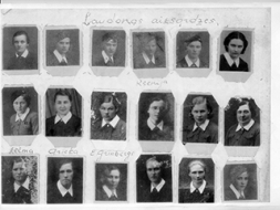 Ļaudonas darbīgās aizsardzes