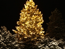 Ziemassvētku gaismas