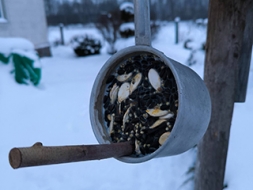 Jāparūpējas arī par putniņiem
