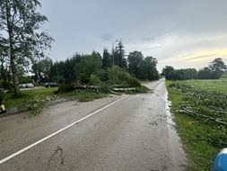 Kopīgiem spēkiem novērš vēja radīto postažu